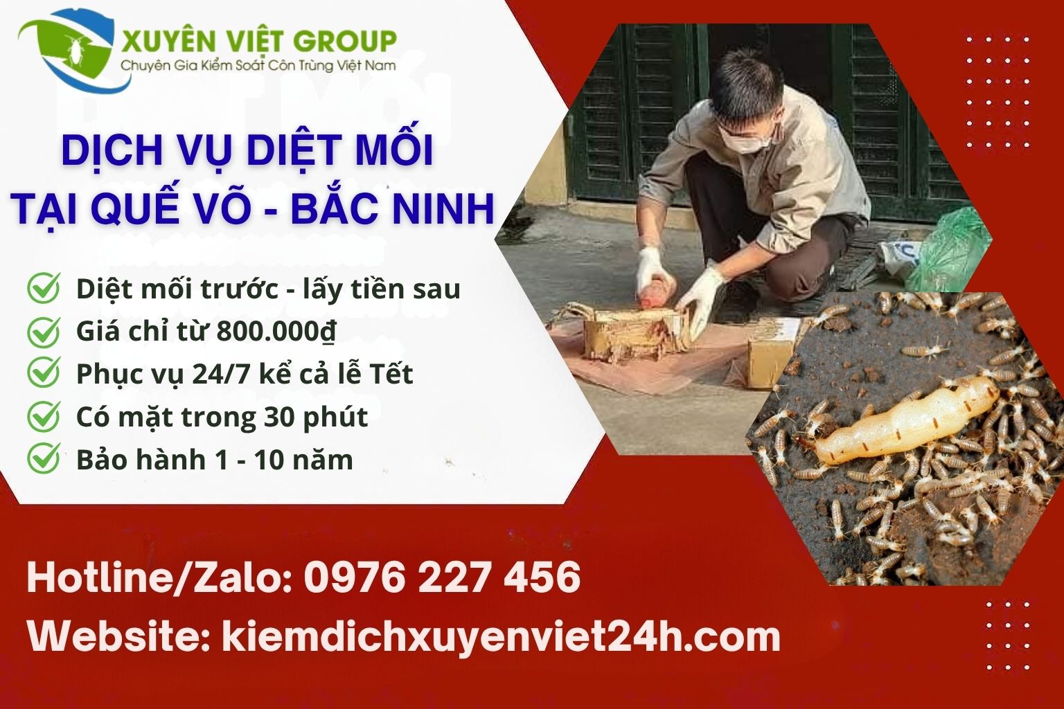 Dịch vụ diệt mối tại Quế Võ