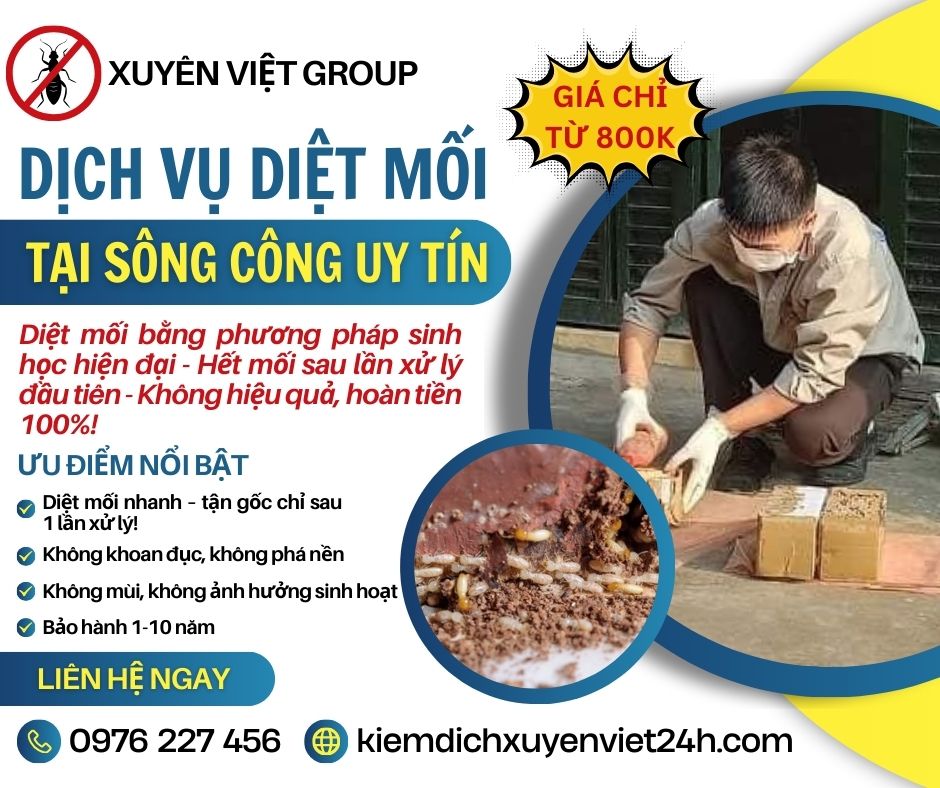 Dịch vụ diệt mối tại Sông Công
