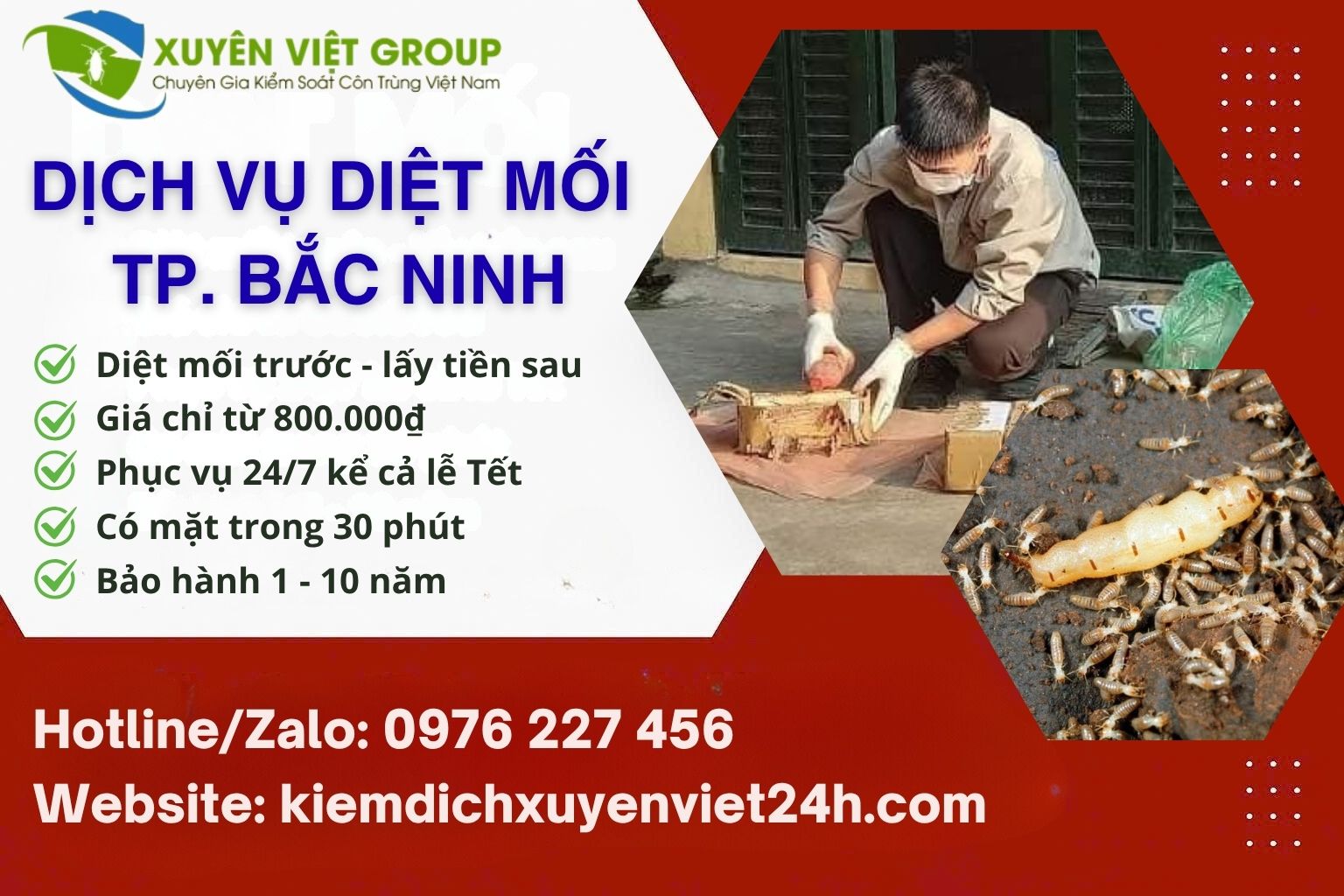 Dịch vụ diệt mối tại TP Bắc Ninh