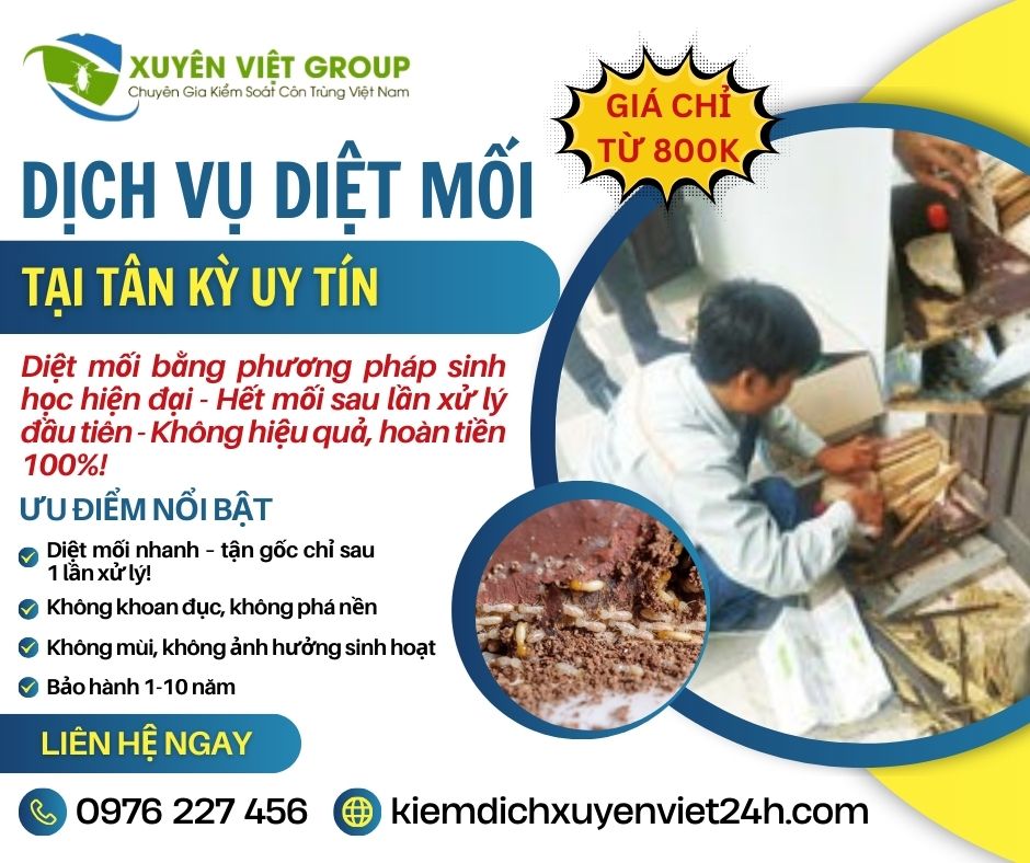 Dịch vụ diệt mối tại Tân Kỳ