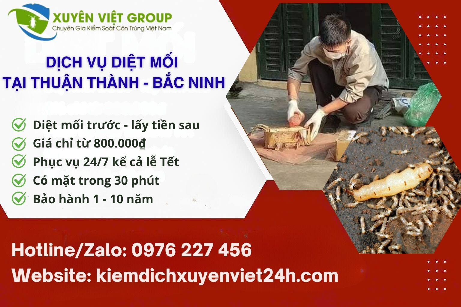 Dịch vụ diệt mối tại Thuận Thành
