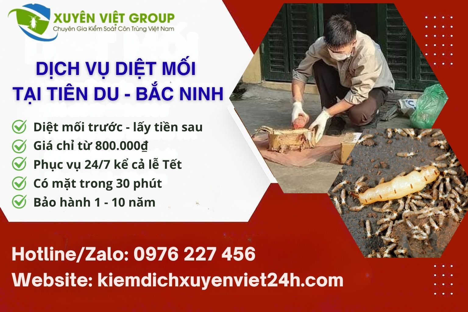 Dịch vụ diệt mối tại Tiên Du