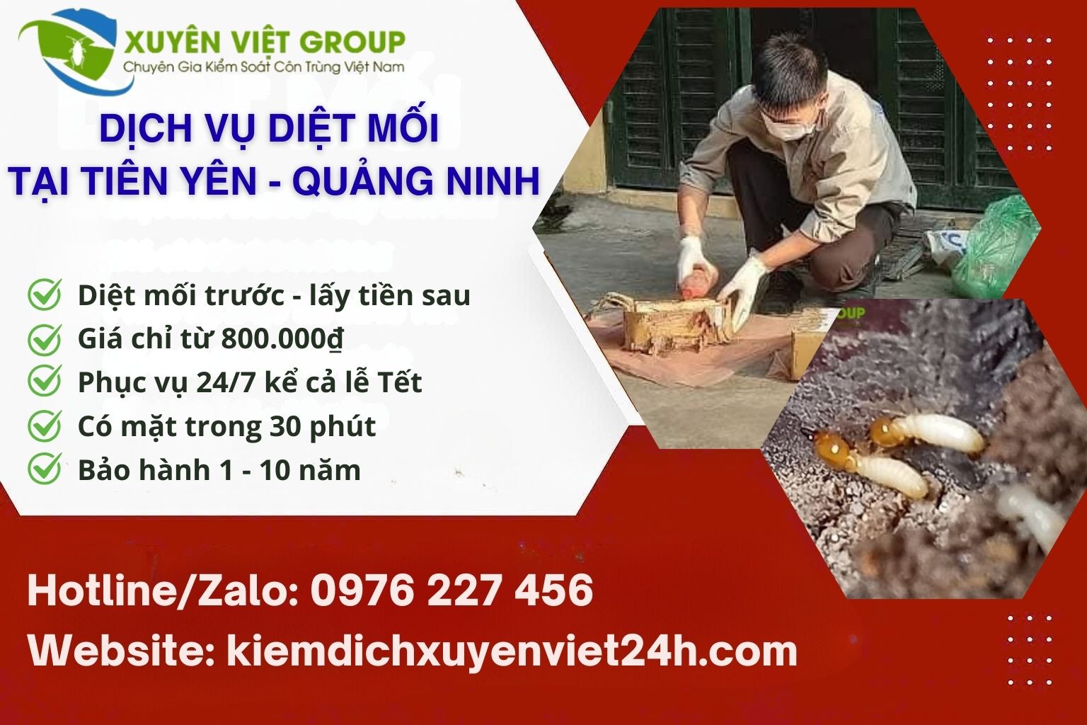 Dịch vụ diệt mối tại Tiên Yên