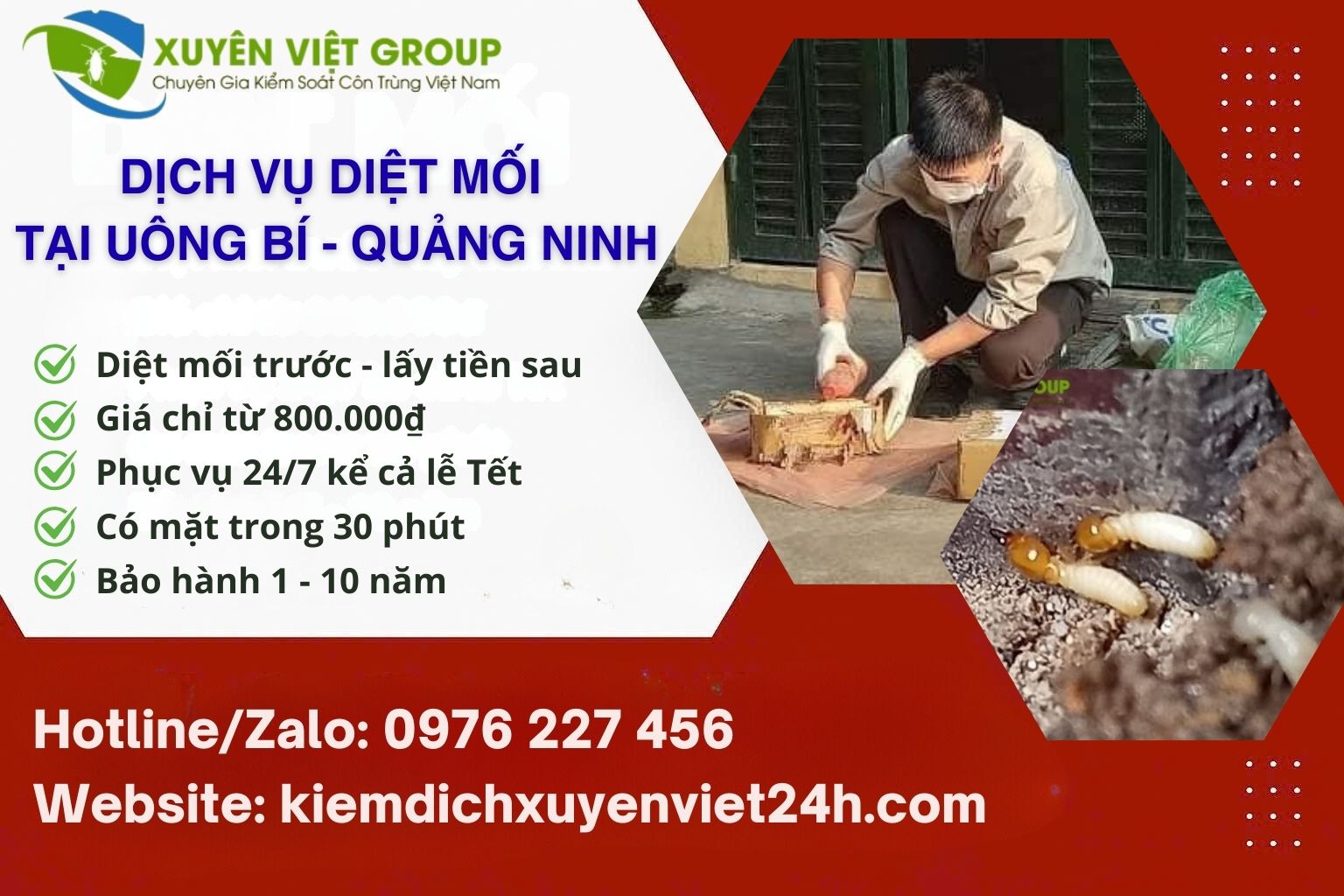 Dịch vụ diệt mối tại Uông Bí