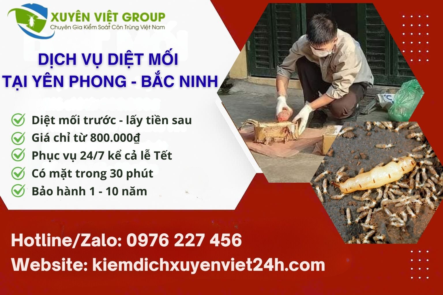 Dịch vụ diệt mối tại Yên Phong