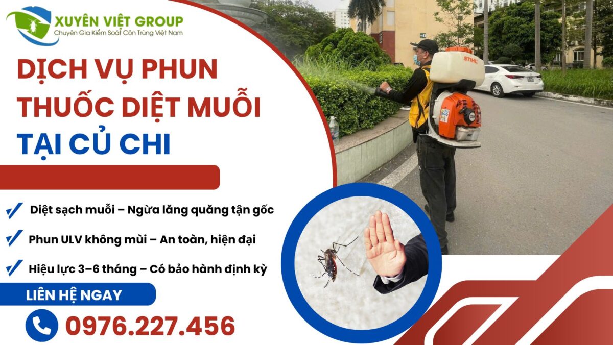 Dịch vụ phun muỗi tại Củ Chi