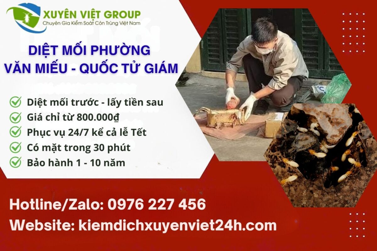Diệt mối phường Văn Miếu - Quốc Tử Giám