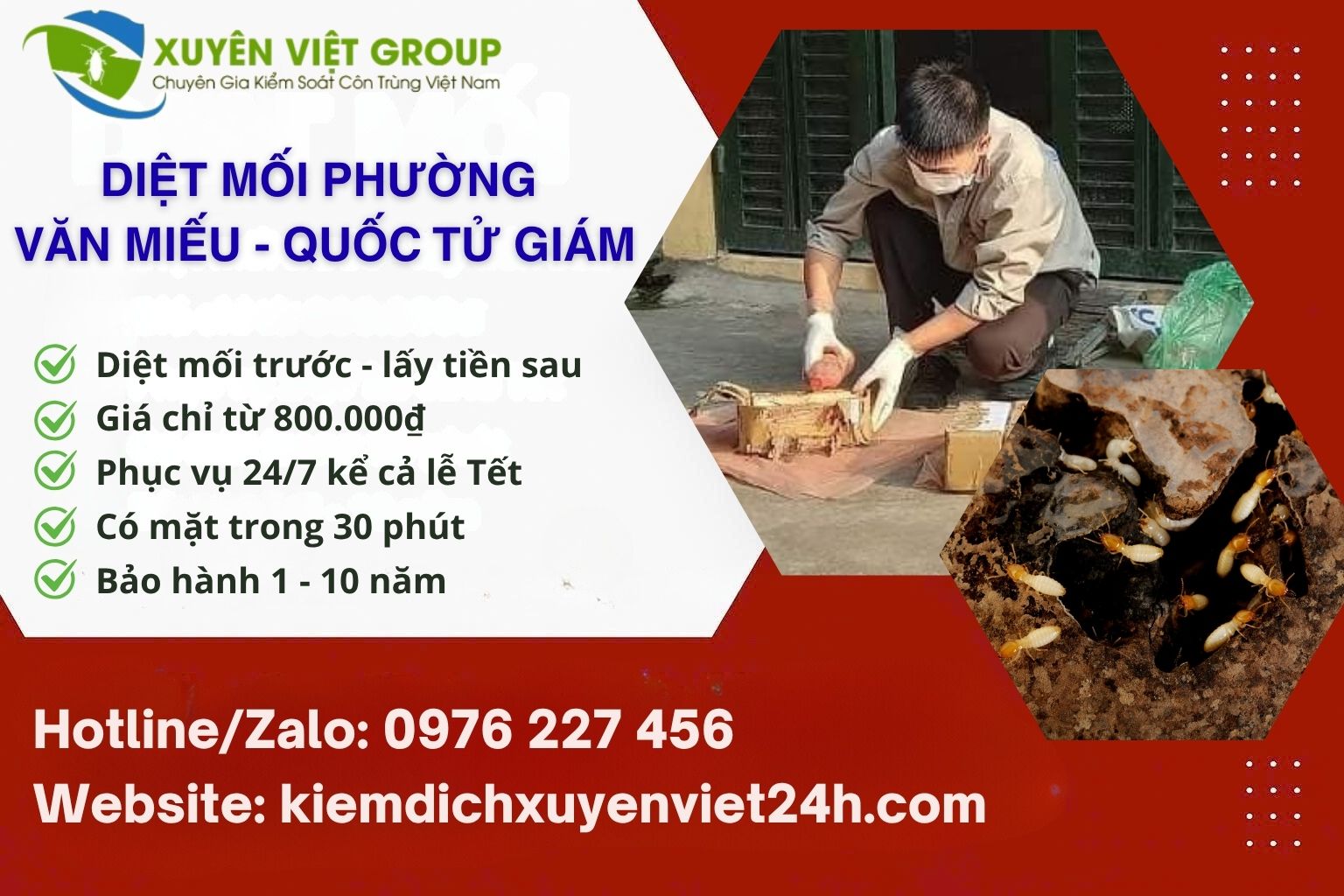 Diệt mối phường Văn Miếu - Quốc Tử Giám