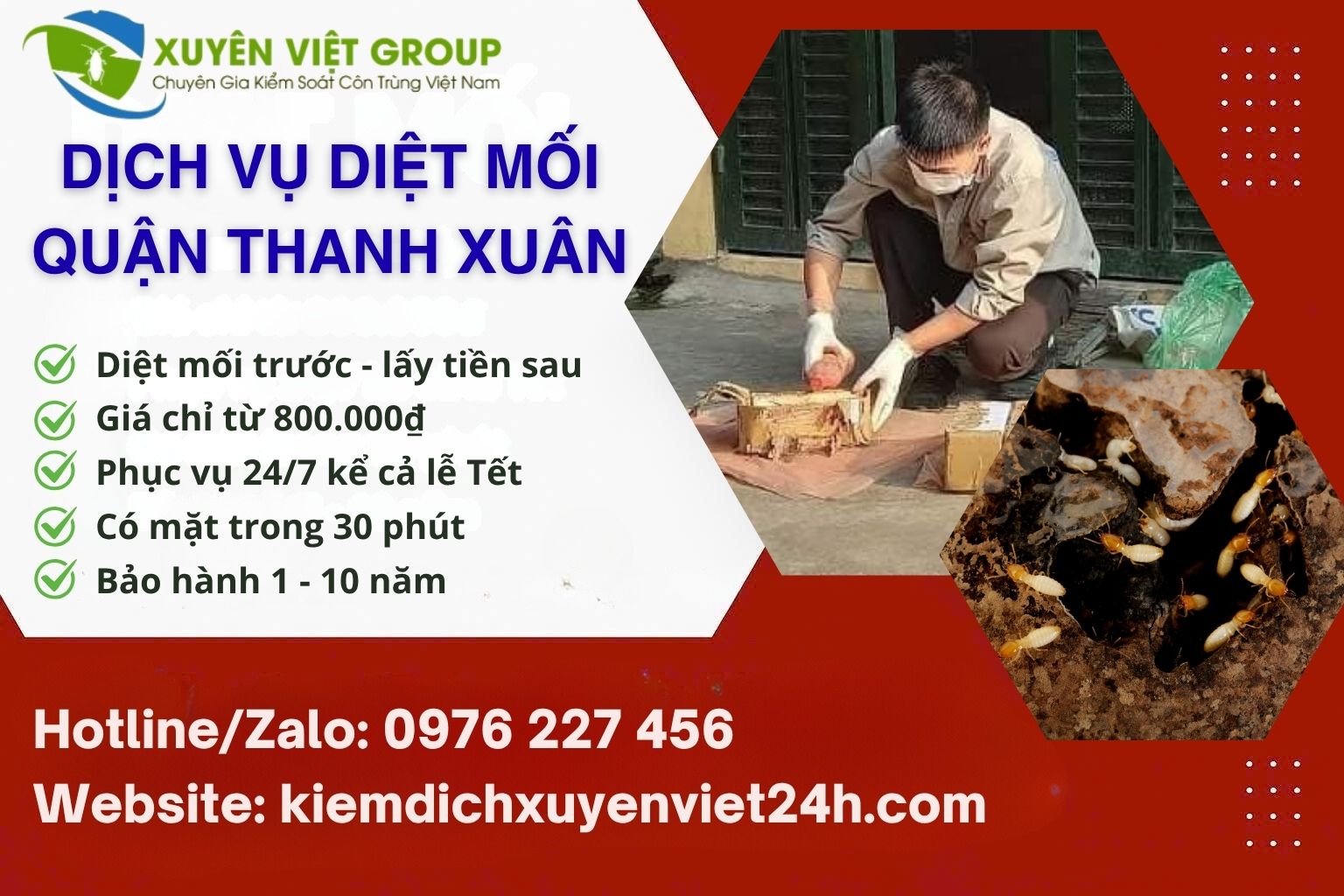Dịch vụ Diệt mối quận Thanh Xuân giá rẻ