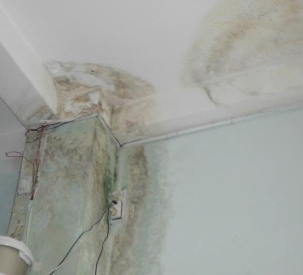 Ảnh hưởng của thấm dột với công trình nhà dân tại Xuyên Mộc