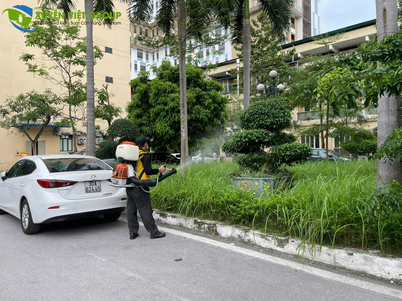 Phun muỗi và côn trùng bay tại quận 8 an toàn, hiệu quả