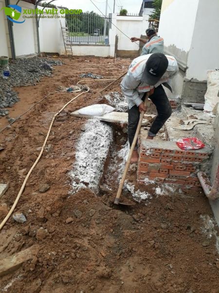 Phòng chống mối nền móng trước khi xây dựng tại Diễn Châu