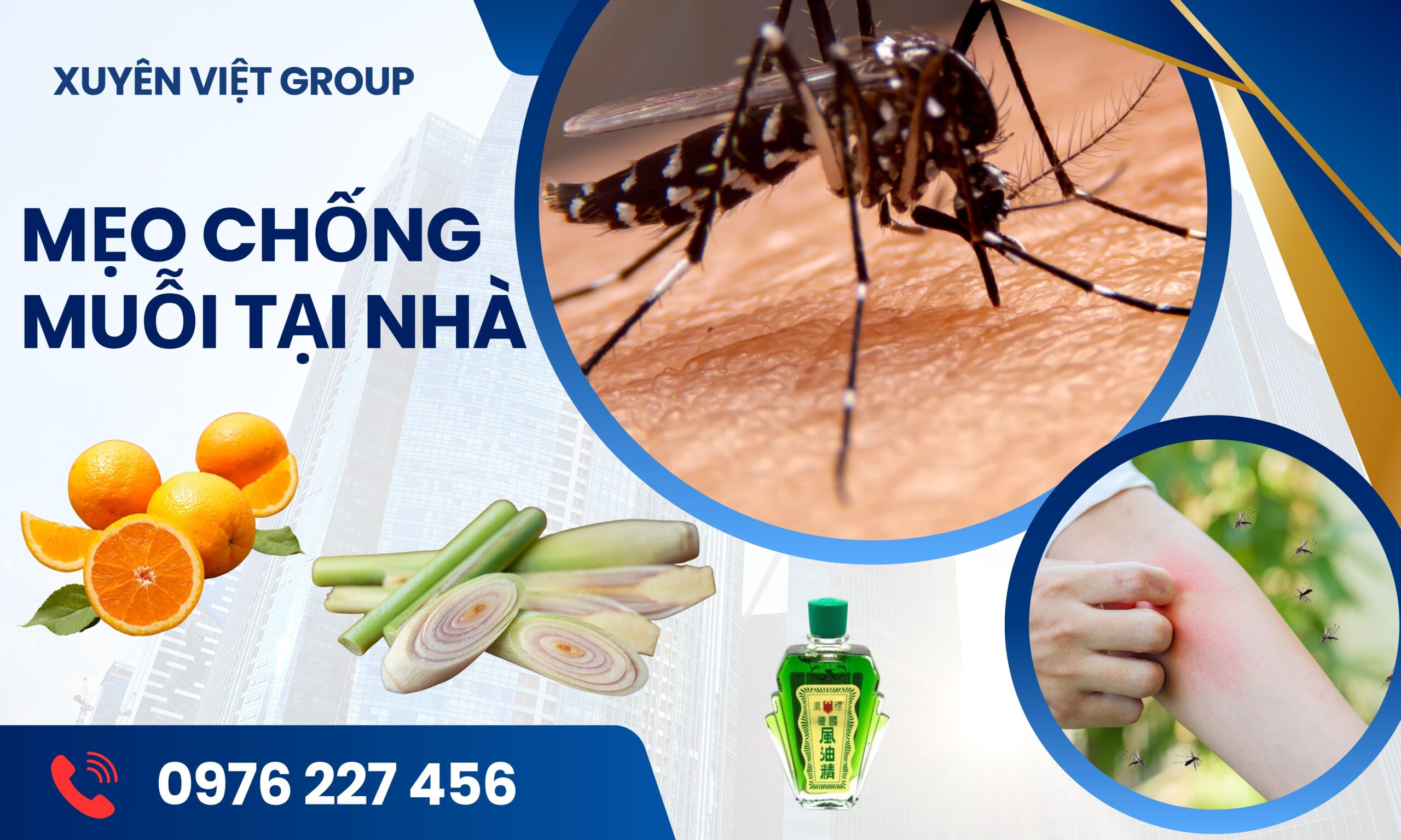 Mẹo chống muỗi hiệu quả tại nhà
