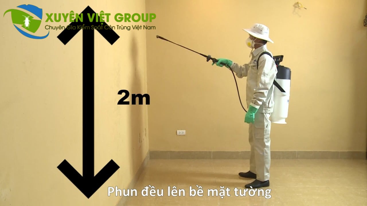 Dịch vụ phun thuốc muỗi tại Hà Đông chuyên nghiệp
