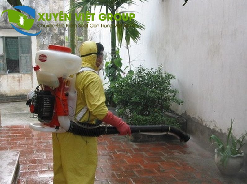 Dịch vụ phun thuốc diệt muỗi tại nhà quận 7