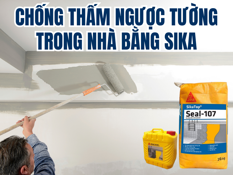 Chống thấm ngược cho tường nhà bằng Sika