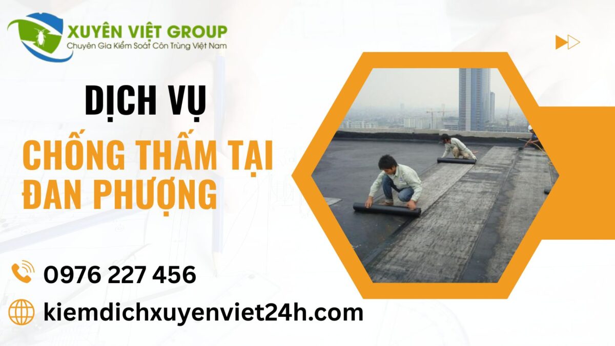 Dịch vụ chống thấm tại Đan Phượng