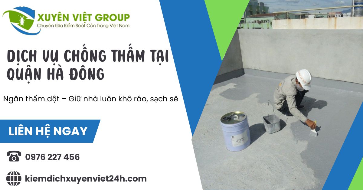 Dịch vụ chống thấm tại Hà Đông