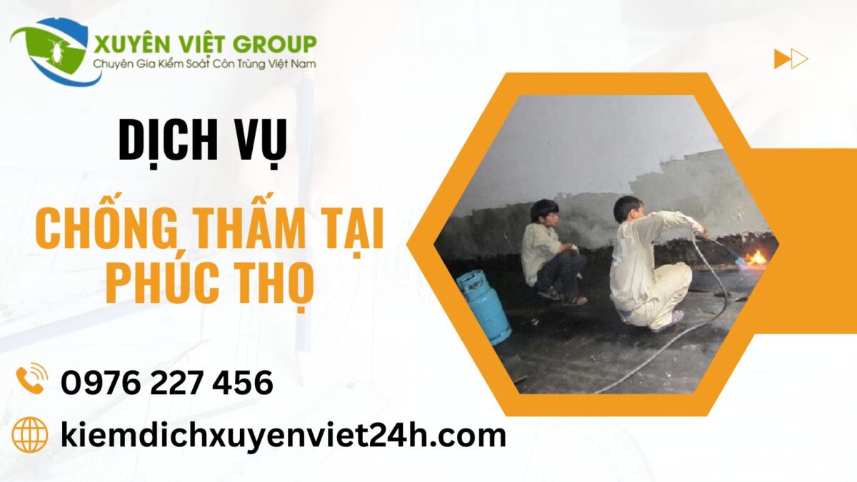 Dịch vụ chống thấm tại Phúc Thọ