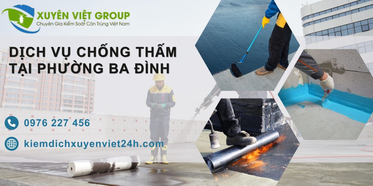 Dịch vụ chống thấm tại phường Ba Đình