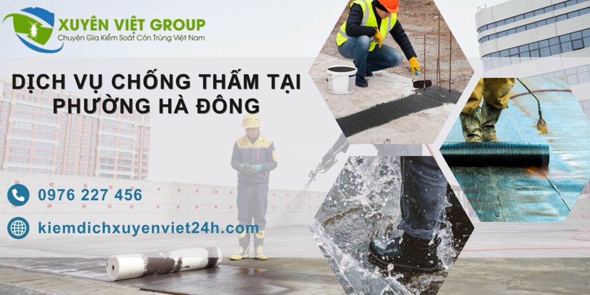 Dịch vụ chống thấm tại phường Hà Đông