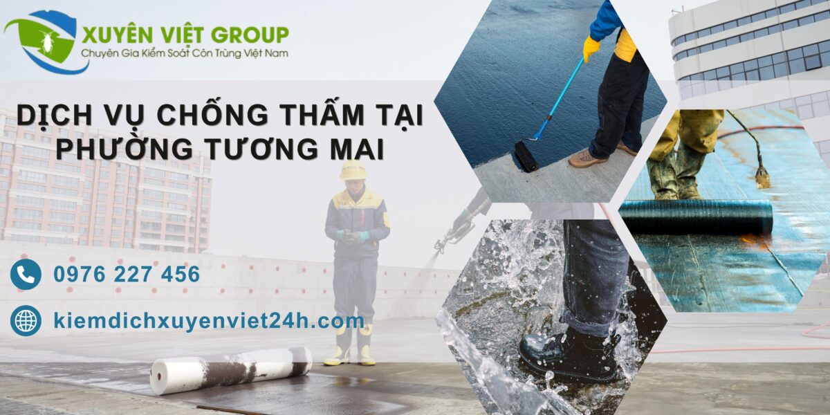 Dịch vụ chống thấm tại phường Tương Mai