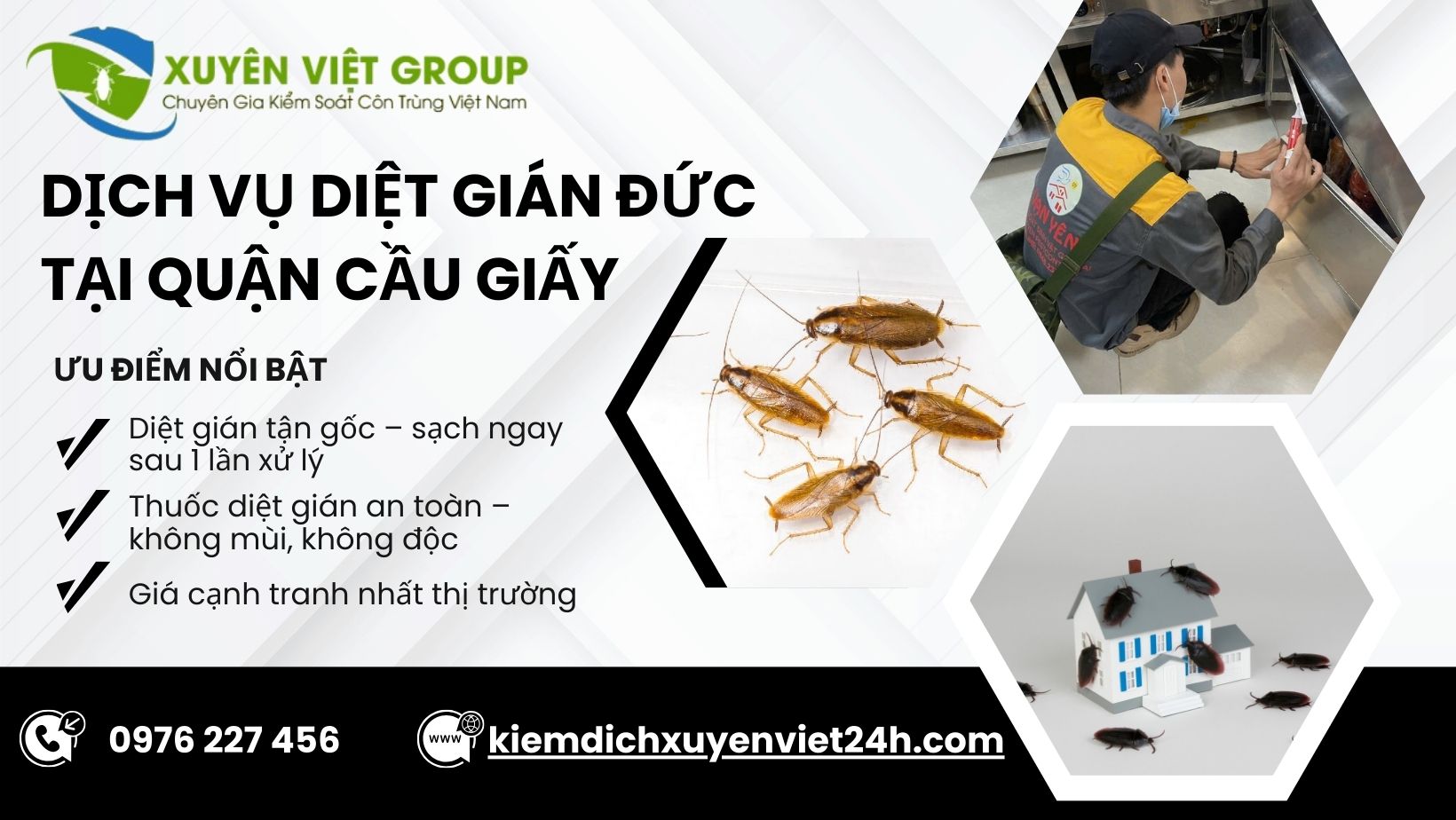 Dịch vụ diệt gián Đức tại Cầu Giấy