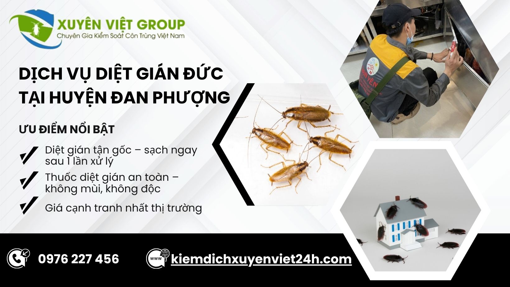Dịch vụ diệt gián Đức tại Đan Phượng