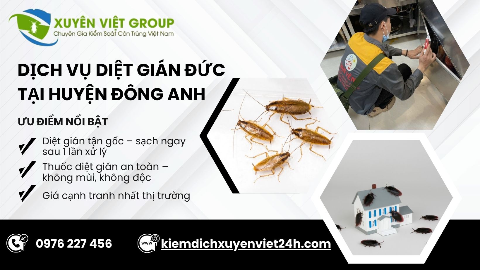 Dịch vụ diệt gián Đức tại Đông Anh