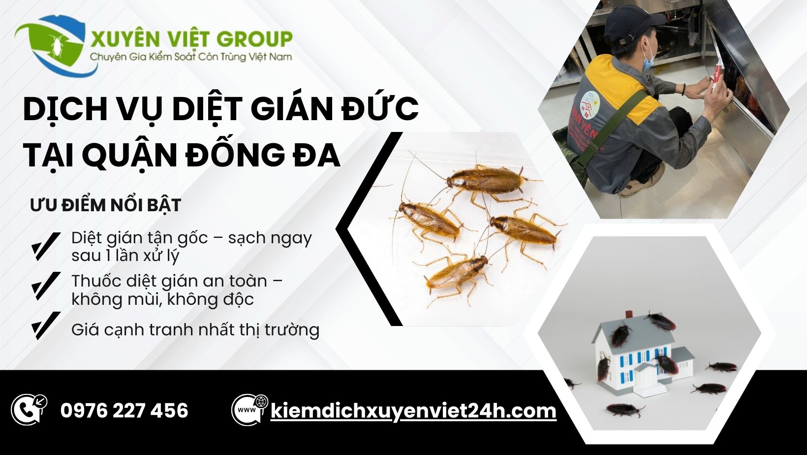 Dịch vụ diệt gián Đức tại Đống Đa
