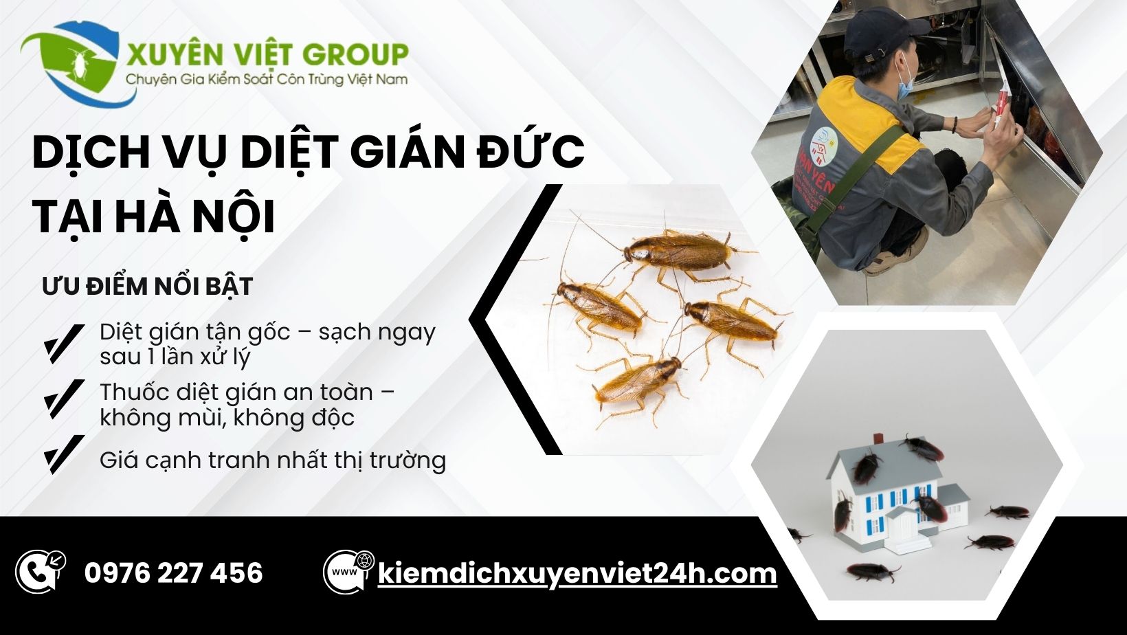 Dịch vụ diệt gián Đức tại Hà Nội
