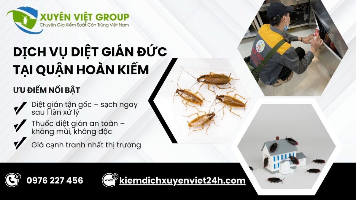 Dịch vụ diệt gián Đức tại Hoàn Kiếm