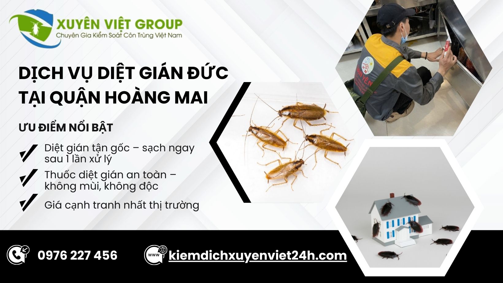 Dịch vụ diệt gián Đức tại Hoàng Mai