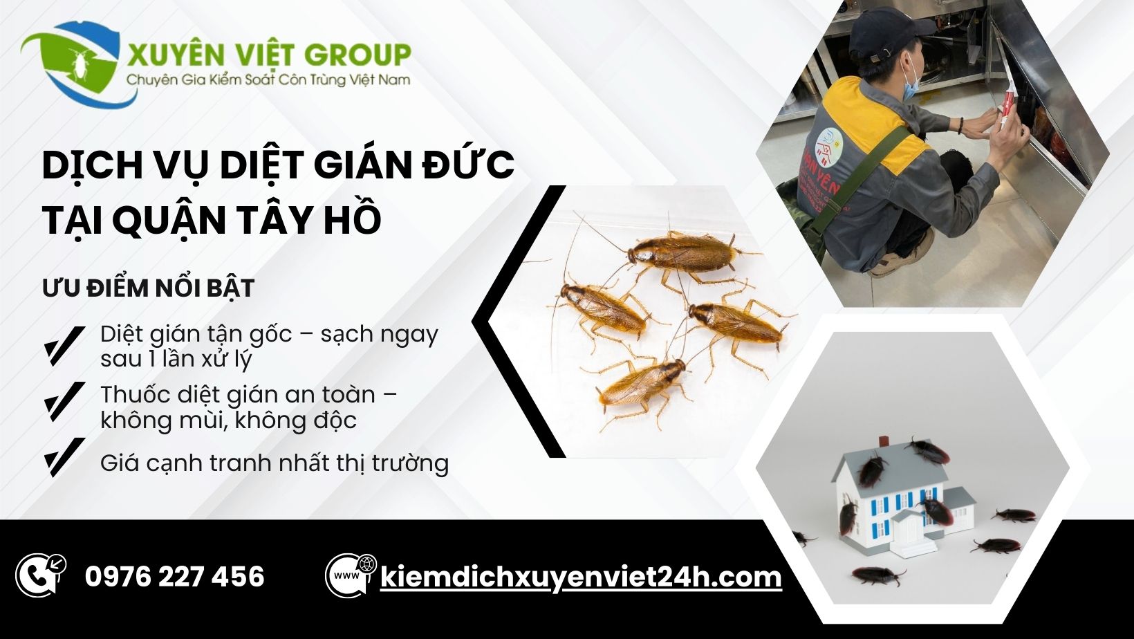 Dịch vụ diệt gián Đức tại Tây Hồ