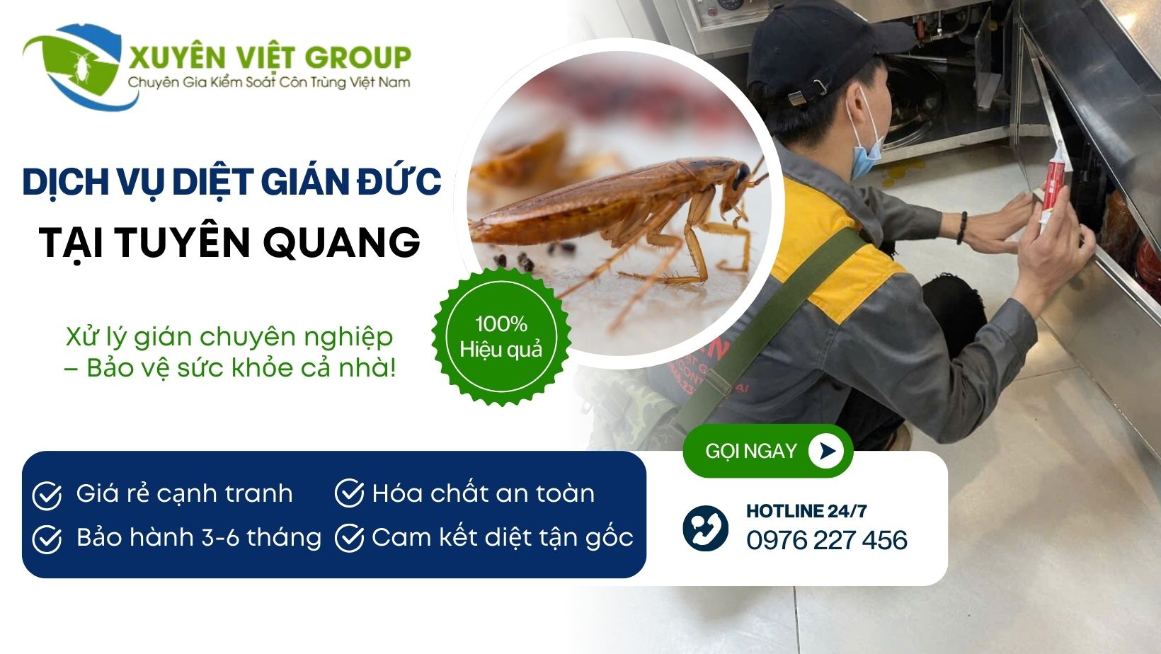 Dịch vụ diệt gián Đức tại Tuyên Quang