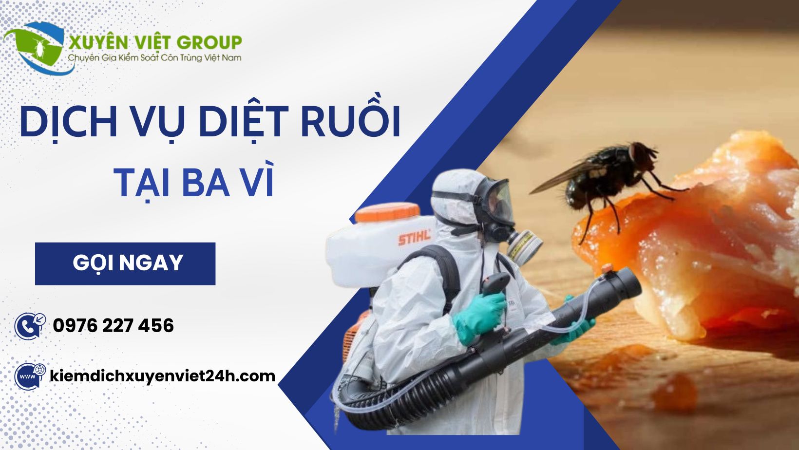 Dịch vụ diệt ruồi tại Ba Vì