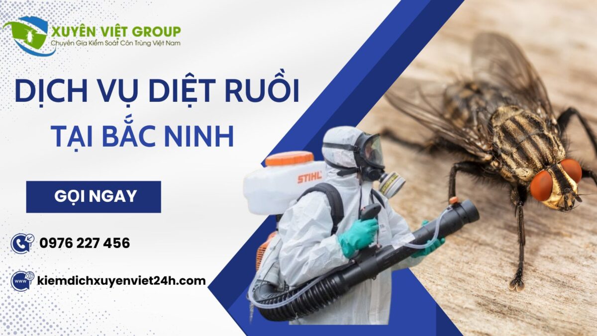 Dịch vụ diệt ruồi tại Bắc Ninh