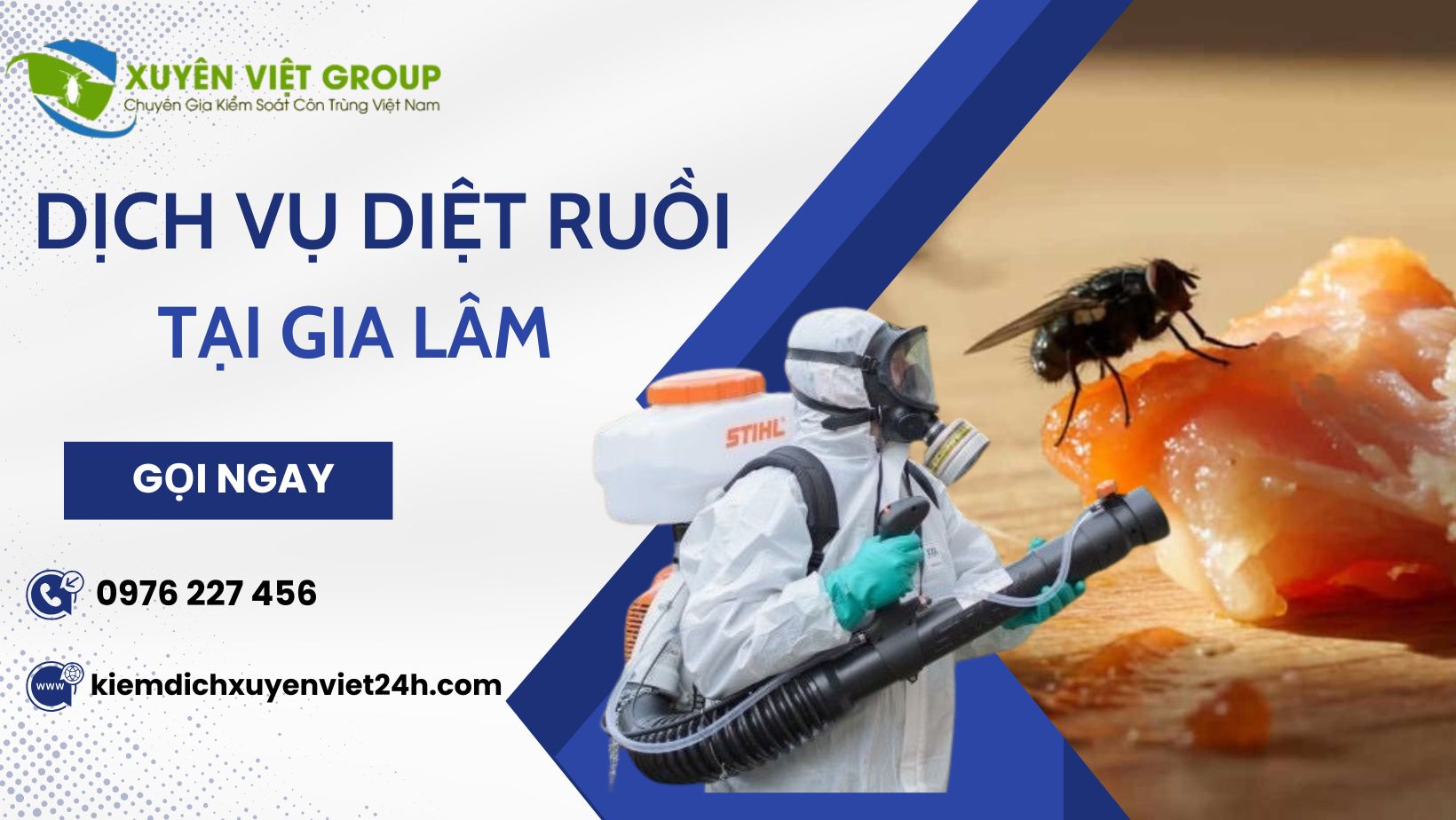 Dịch vụ diệt ruồi tại Gia Lâm