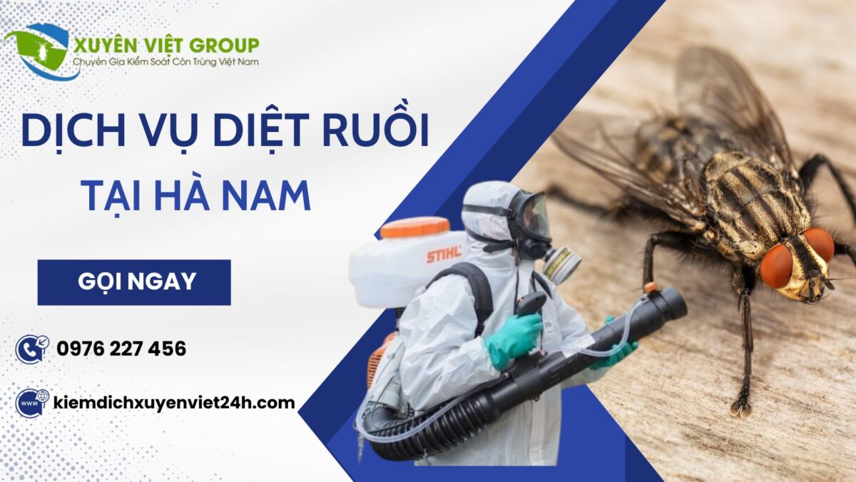 Dịch vụ diệt ruồi tại Hà Nam