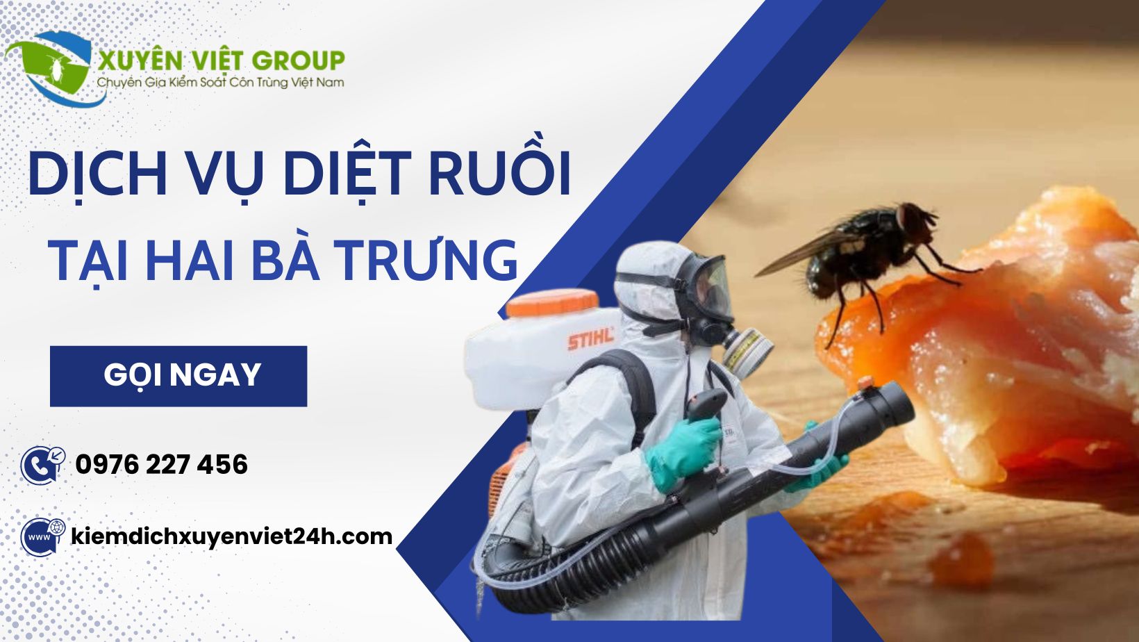 Dịch vụ diệt ruồi tại Hai Bà Trưng