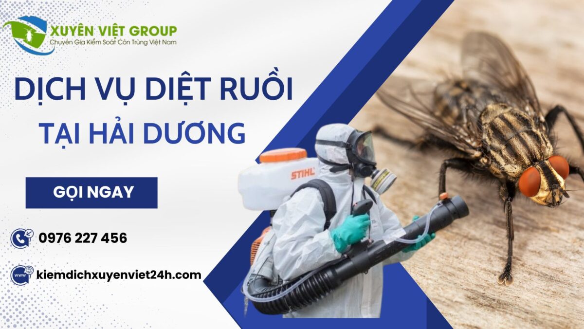 Dịch vụ diệt ruồi tại Hải Dương