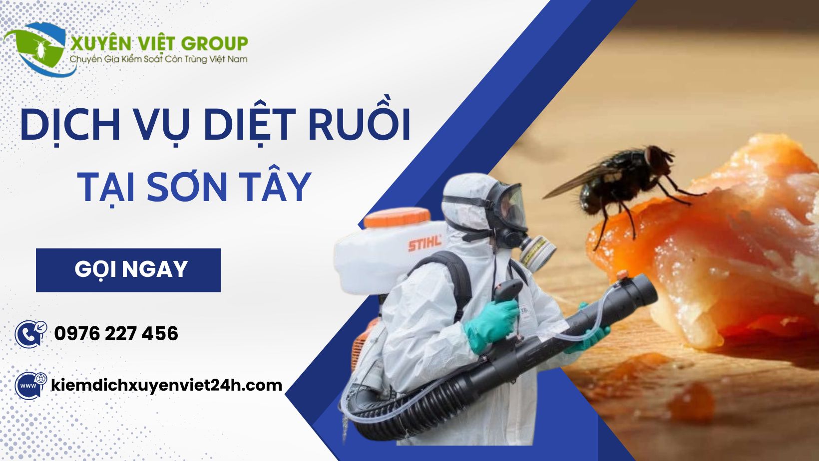Dịch vụ diệt ruồi tại Sơn Tây