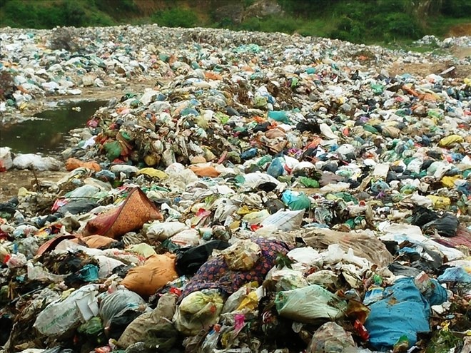 Rác thải không xử lý là 1 trong những nguyên ngân ruồi sinh sôi và phát triển mạnh