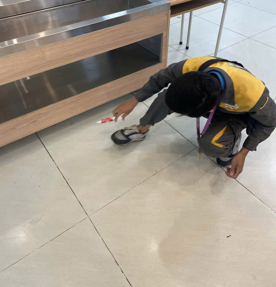Kỹ thuật viên thực hiện dịch vụ diệt gián Đức tại Cao Bằng bằng gel sinh học