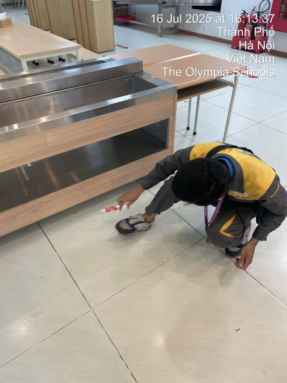 Diệt gián tận gốc tại Hai Bà Trưng – dịch vụ diệt côn trùng uy tín