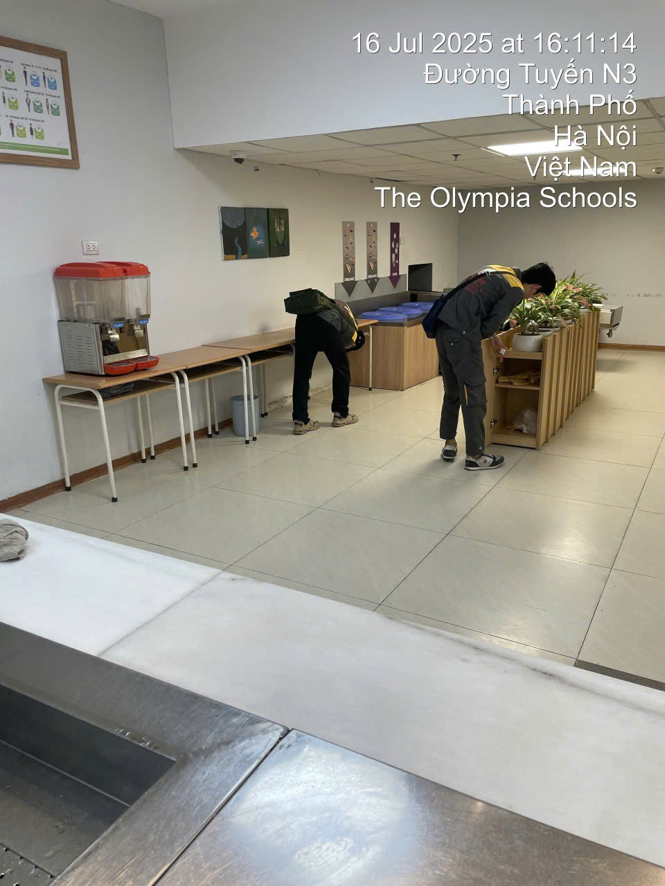 Diệt gián Đức cho văn phòng làm việc tại Hoàng Mai