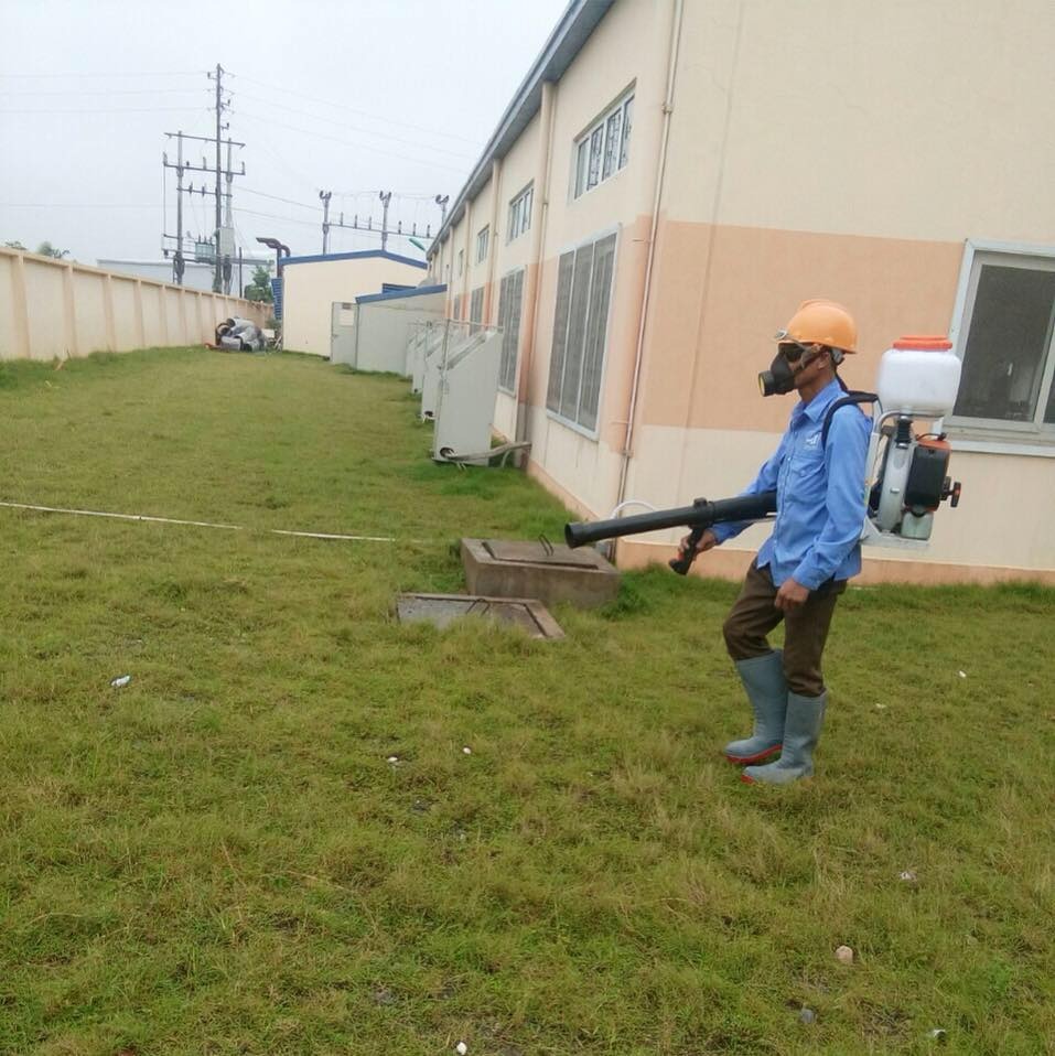 Phun thuốc diệt ruồi giấm, ruồi nhà, ruồi cống tại Phúc Thọ tận gốc