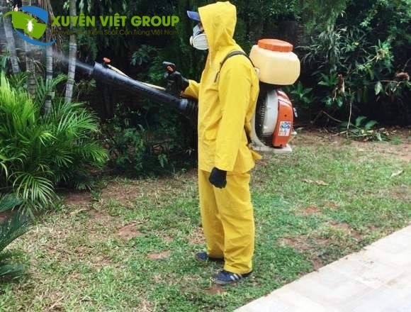 Diệt ruồi nhà, ruồi giấm, ruồi cống tại Thạch Thất hiệu quả tận gốc