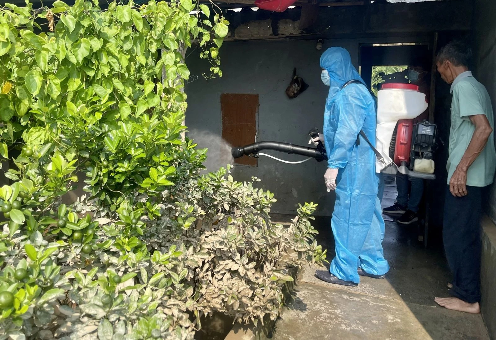 Dịch vụ diệt ruồi tại nhà và kiểm soát côn trùng gây hại tận gốc