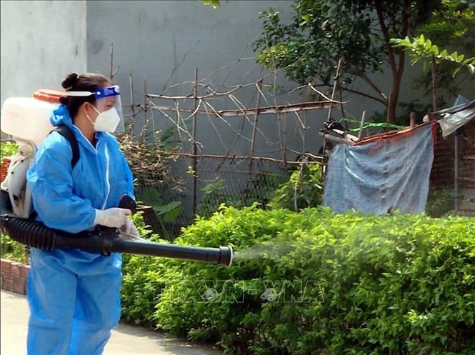 Nhân viên Xuyên Việt Group phun thuốc diệt ruồi tại Thanh Xuân an toàn và hiệu quả